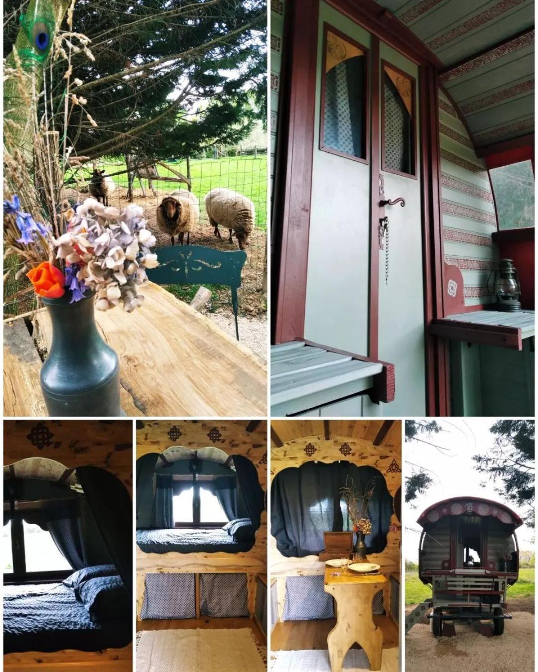 Roulotte Irlandaise Polly Hotel Saint-Vincent-en-Bresse Luaran gambar