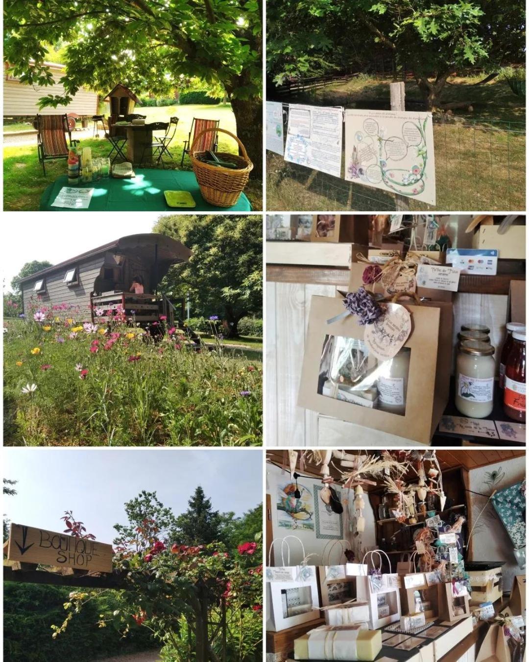 Roulotte Irlandaise Polly Hotel Saint-Vincent-en-Bresse Luaran gambar